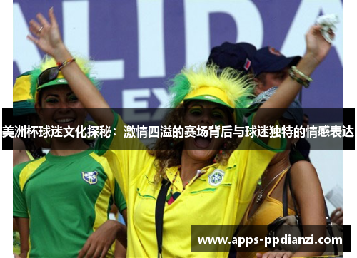 美洲杯球迷文化探秘：激情四溢的赛场背后与球迷独特的情感表达