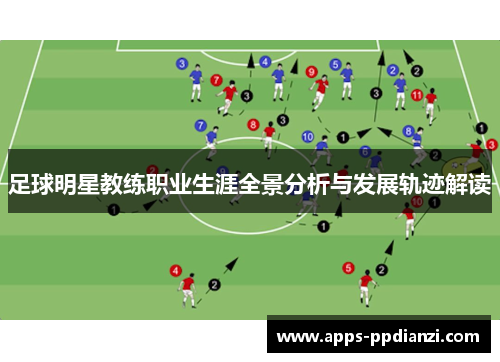 足球明星教练职业生涯全景分析与发展轨迹解读