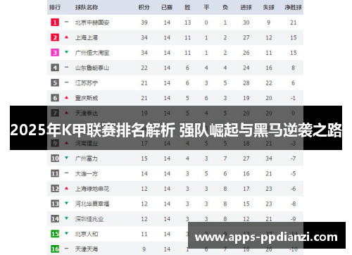 2025年K甲联赛排名解析 强队崛起与黑马逆袭之路