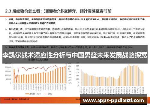 李凯尔战术适应性分析与中国男篮未来发展战略探索