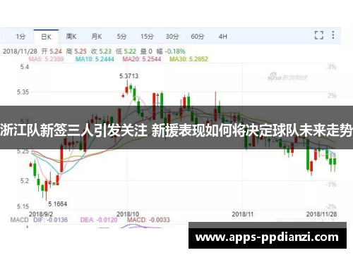 浙江队新签三人引发关注 新援表现如何将决定球队未来走势