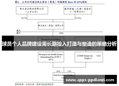 球员个人品牌建设需长期投入打造与塑造的策略分析
