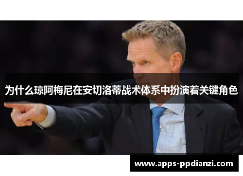 为什么琼阿梅尼在安切洛蒂战术体系中扮演着关键角色