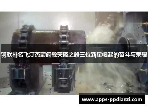 羽联排名飞汀杰蔚阀敏突破之路三位新星崛起的奋斗与荣耀 羽联排名飞汀杰蔚阀敏突破之路三位新星崛起的奋斗与荣耀