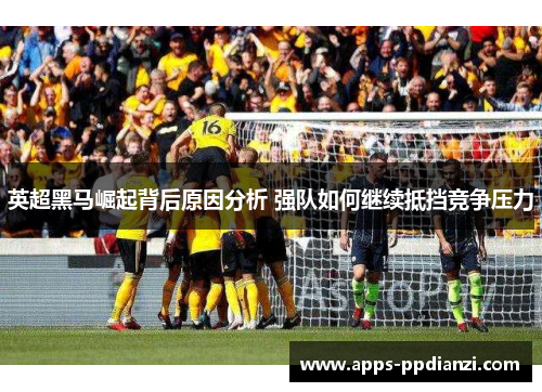 英超黑马崛起背后原因分析 强队如何继续抵挡竞争压力