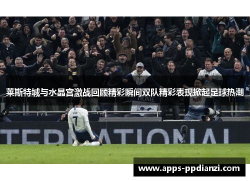 莱斯特城与水晶宫激战回顾精彩瞬间双队精彩表现掀起足球热潮