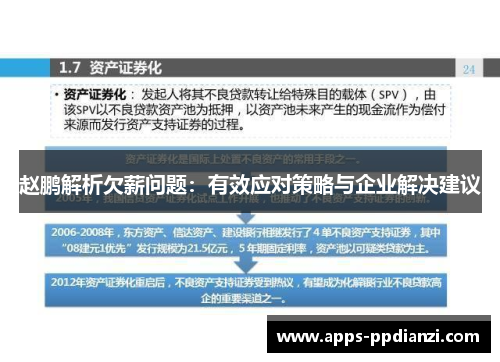 赵鹏解析欠薪问题：有效应对策略与企业解决建议