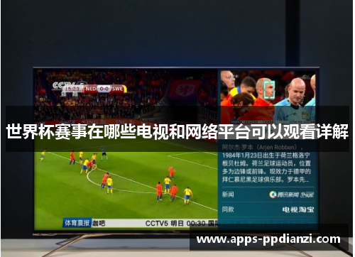 世界杯赛事在哪些电视和网络平台可以观看详解