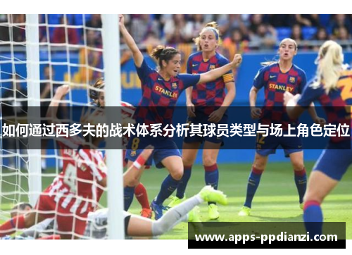 如何通过西多夫的战术体系分析其球员类型与场上角色定位